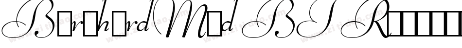 BernhardMod BT Roman字体转换